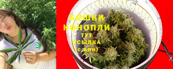 твердый Верея