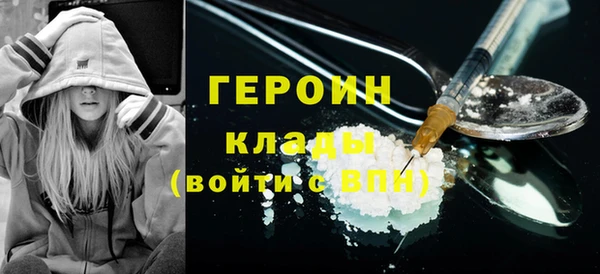 индика Туринск